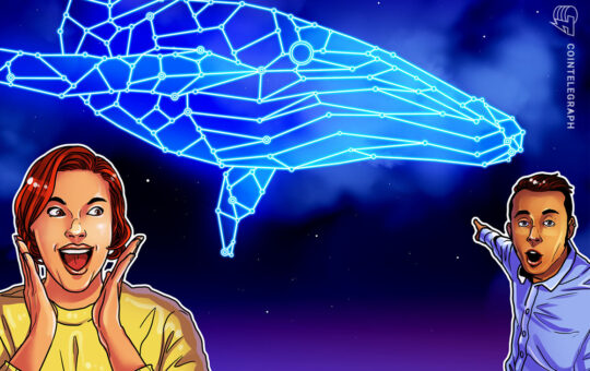 DAOs, DEXs and whales? How Web3 organizations became the new crypto beasts