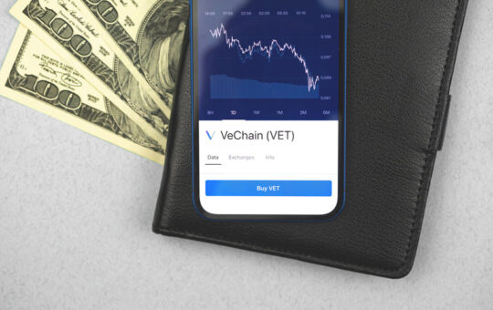 Vechain – Why it’s a high potential altcoin to buy in the bear market