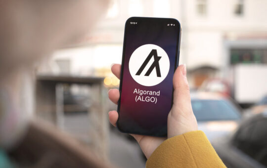 Algorand's token is bullish, but where are the buyers?