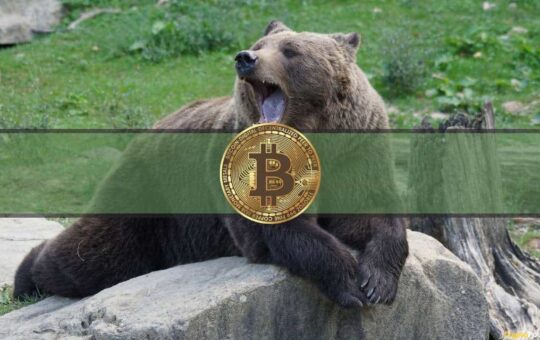 Institutional Interest in Shorting Bitcoin Rises to Record Levels in US (Report)