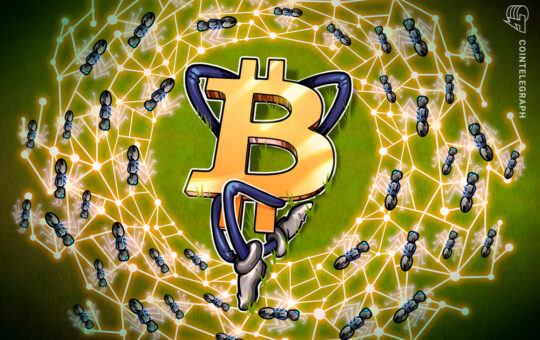 BTC wholecoiners up by 40K since June crash began