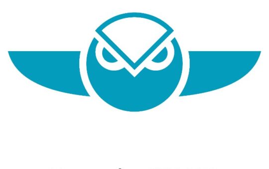 Gnosis (GNO) the only coin that is up today: here's why