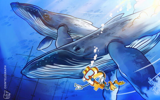 How Bitcoin whales make a splash in markets and move prices