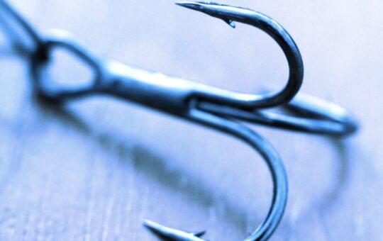 Swan Bitcoin Discloses Data Leak Due to Phishing Attack on Newsletter Provider
