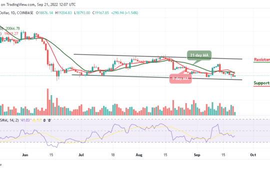 BTC May Retrace Above $20,000; TAMA is rated a BUY