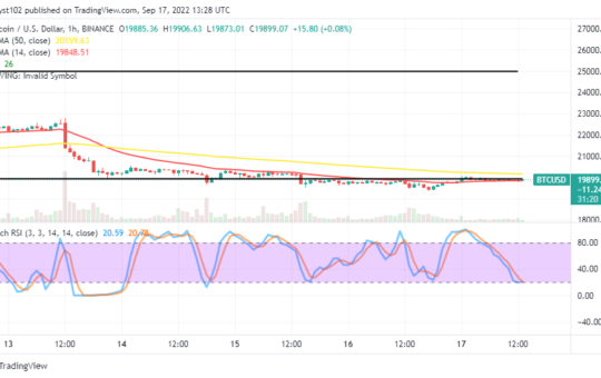 BiTC Price Prediction for Today, September 23: BTC Goes Decline
