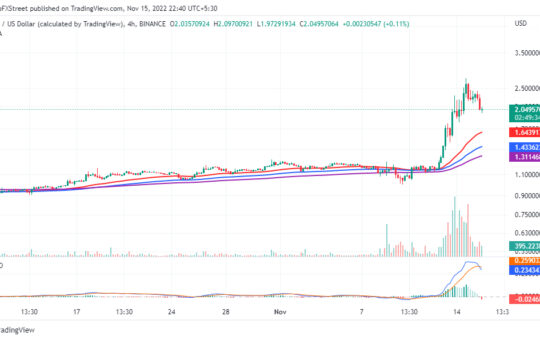 Best Crypto to Buy Now 15 November – D2T, TWT, IMPT, QNT, RIA
