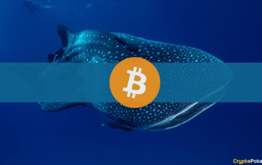 Bitcoin Whales Underwater as Markets Mirror Late 2018