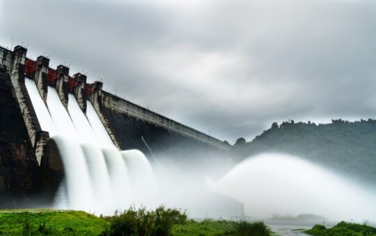 DAM Finance rolls out the d20 Moonwalkers v1 testnet
