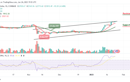 Bitcoin Price Prediction for Today, January 24: BTC/USD Jumps Above $23,000 Level