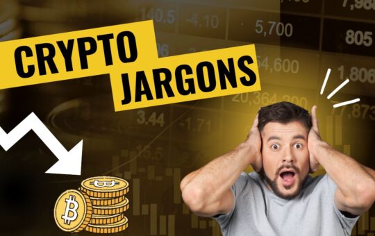 Crypto jargons: Understanding the Language of Digital Assets