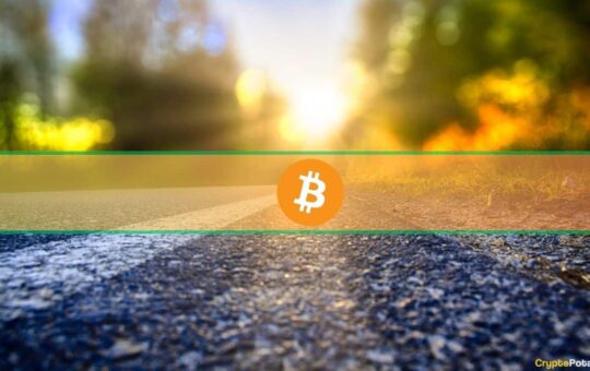 Stably Launches Bitcoin's First BRC-20 Stablecoin