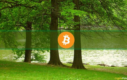 Bitcoin 'Has Launched,' Claim Analysis as BTC Powers Past $29K