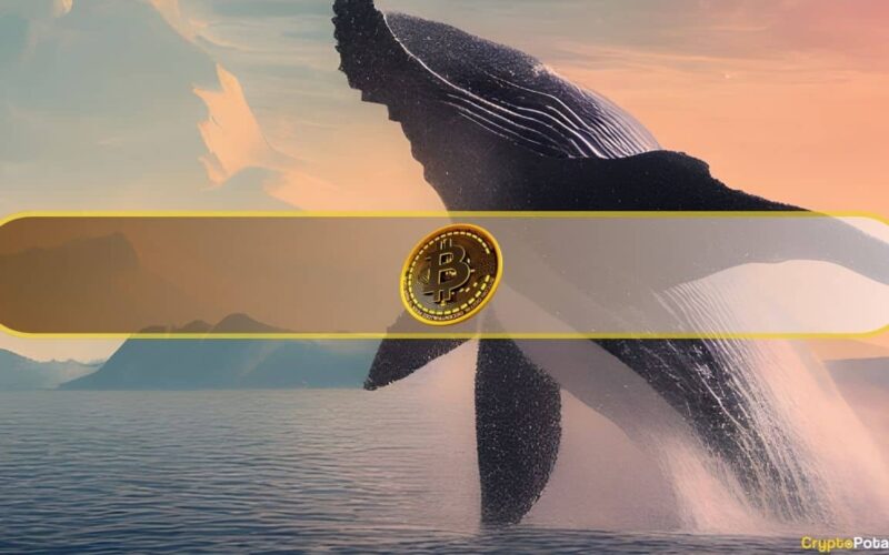 Dormant Bitcoin Whale Transfers $137 Million in BTC After 4 Years