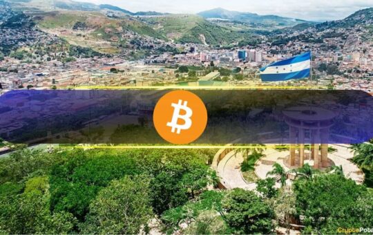 Special Economic Zone in This Country Recognizes Bitcoin as a Unit of Account