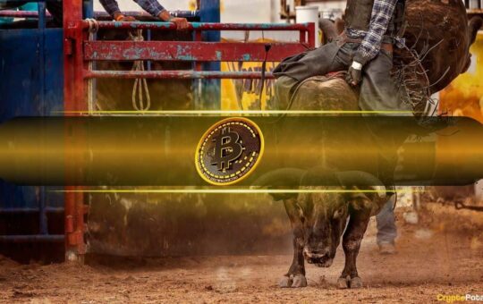 Bitcoin Supply in Profit Ratio Surges Close to Bull Market Peak Levels