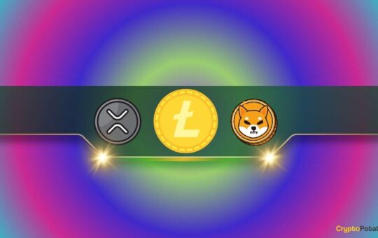 Ripple (XRP) and Shiba Inu (SHIB) are Among the Top 6 Altcoins With Most Holders: Details