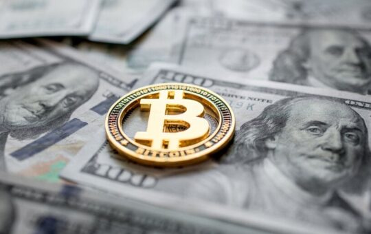 Bitcoin Millionaires Have Doubled Since Last Year as Markets Heated Up