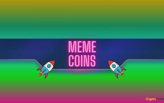 This Meme Coin Stuns Crypto Markets with Massive Gains as Sector Bounces