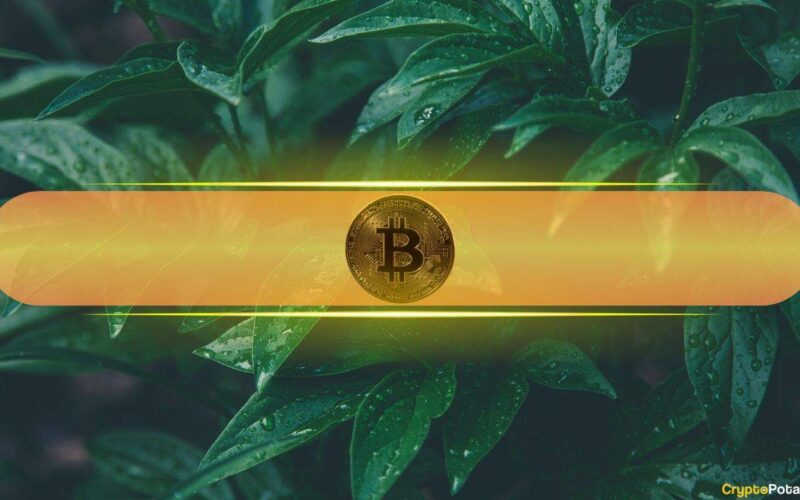 This Has to Happen for Bitcoin to Soar Past $58K: Santiment