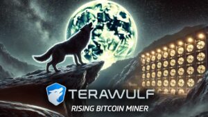 TeraWulf: Overview of a Rising Bitcoin Miner in 2024