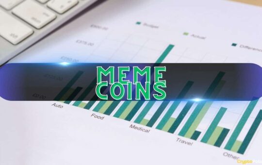 Meme Coins Overtake BTC, BNB in Popularity Among Crypto Holders: Binance