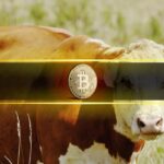 Last Time Bitcoin Did This, the Price Went From $60K to $100K