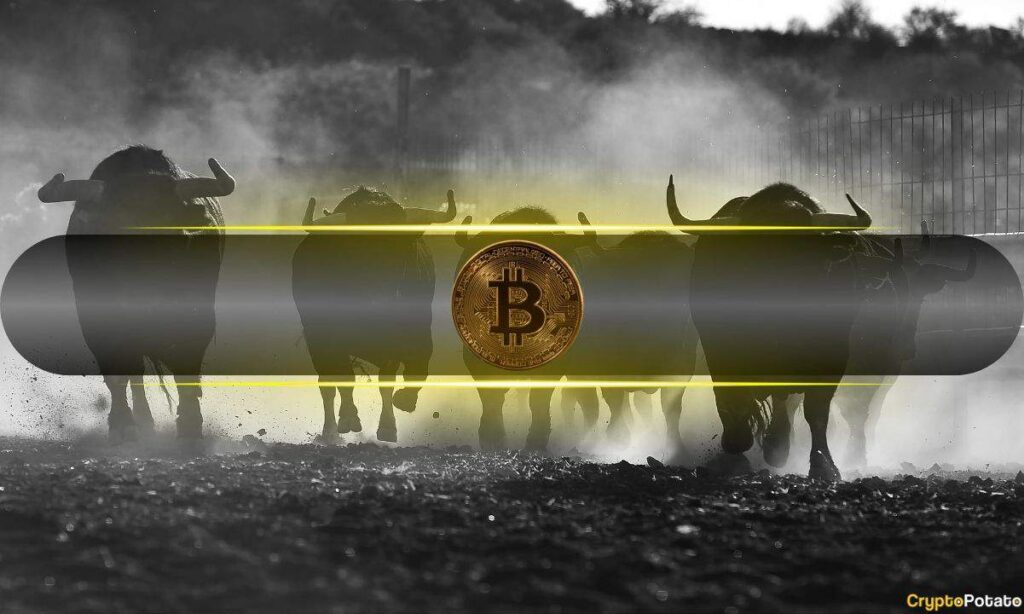 Shocking Amount of BTC Absorbed by Buyers During Recent Market Turmoil