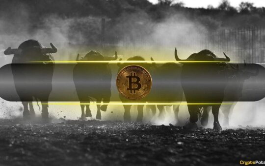 Shocking Amount of BTC Absorbed by Buyers During Recent Market Turmoil