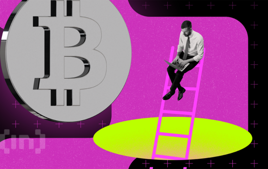 New Bitcoin Whales Are Fueling Market Volatility