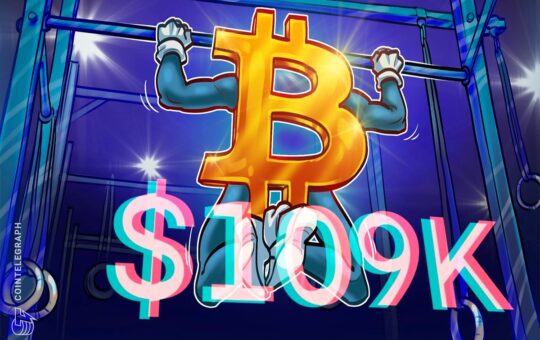 Bitcoin Aims For New Highs Even As Sellers Defend $110K