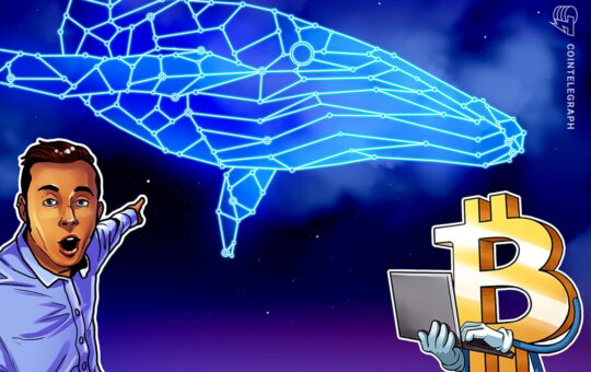 Bitcoin Profit-Taking Surges as New Whales Realize Billions