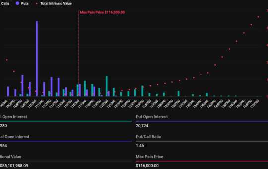 Bitcoin Expiring Options