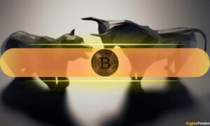 What On-Chain Data Means for BTC's Future