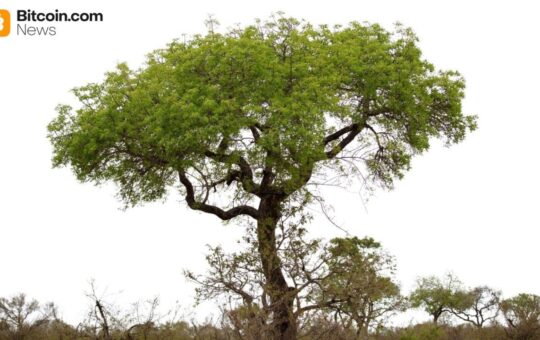 Digital Asset Solutions Firm Completes Australia’s First Tokenized Government Bond Investment