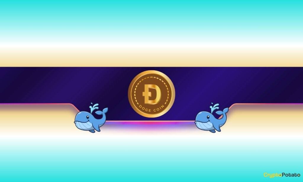 Is Dogecoin Gearing up for Further Rally?