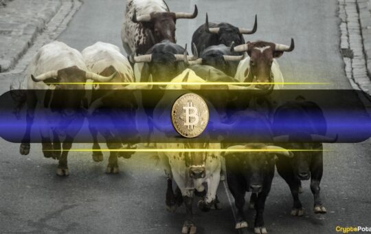 Crypto Sentiment Flips Bullish as XWIN Trend Index Climbs to 72