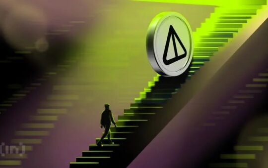 Could December Be the Turning Point for Toncoin Holders?