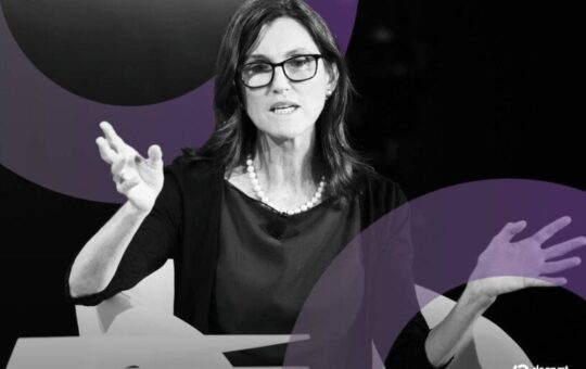 Bitcoin, DeFi and Tokenized Assets to Drive Crypto’s Next Phase, ARK Says