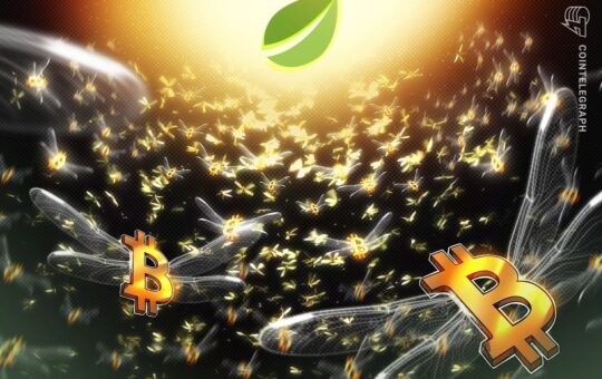 Bitcoin Longs Reach 2-Year High At Bitfinex: Bullish Or Bearish?