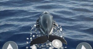 Ethereum whale Trend Research unwinds ETH position as losses reach $747M