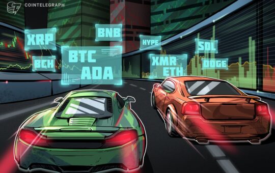 Is The Bull Market Back?