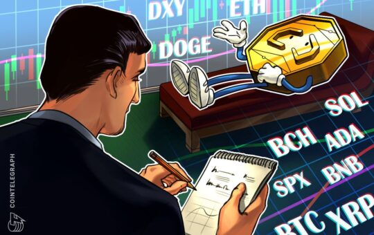 Relief Rally Leads To Green Bitcoin, Altcoin Charts, But Will It Last?