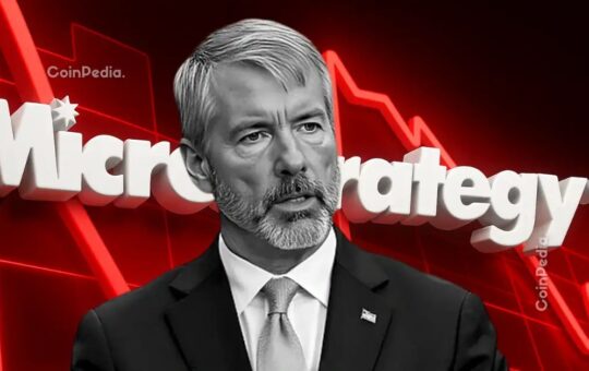 Investor Fear Dilution as Bitcoin Holding Grow